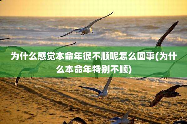 为什么感觉本命年很不顺呢怎么回事(为什么本命年特别不顺)