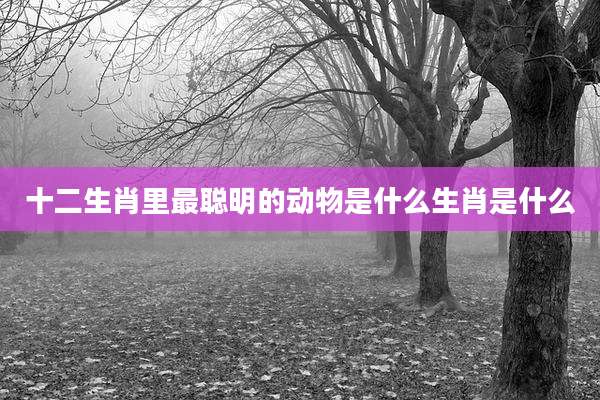 十二生肖里最聪明的动物是什么生肖是什么