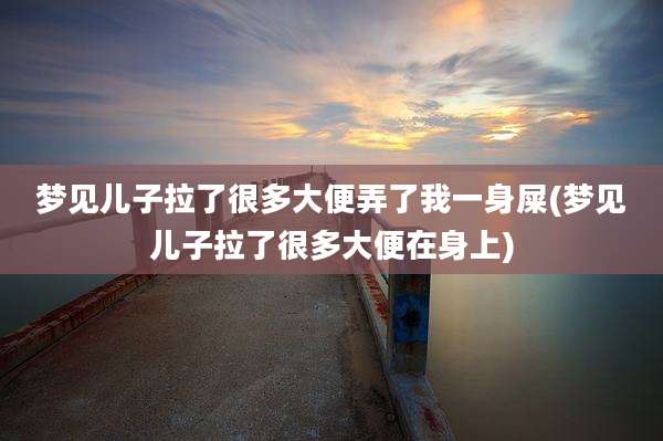 梦见儿子拉了很多大便弄了我一身屎(梦见儿子拉了很多大便在身上)