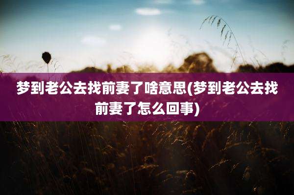 梦到老公去找前妻了啥意思(梦到老公去找前妻了怎么回事)