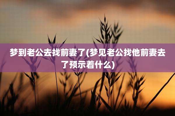 梦到老公去找前妻了(梦见老公找他前妻去了预示着什么)