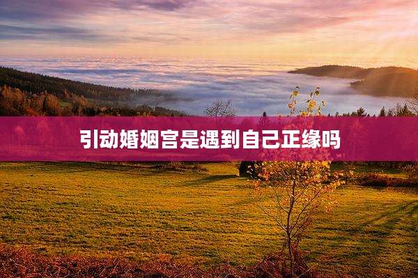引动婚姻宫是遇到自己正缘吗