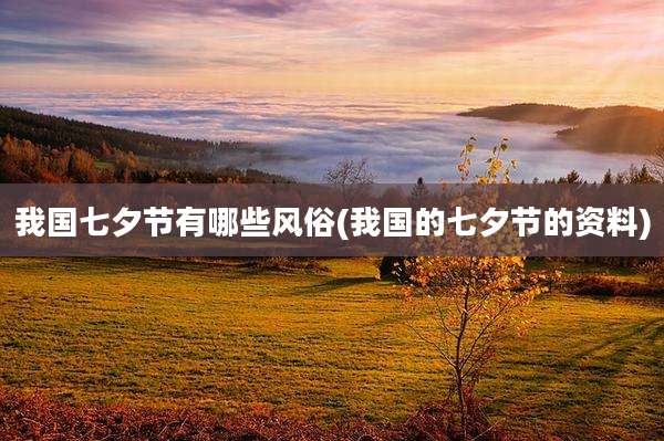 我国七夕节有哪些风俗(我国的七夕节的资料)