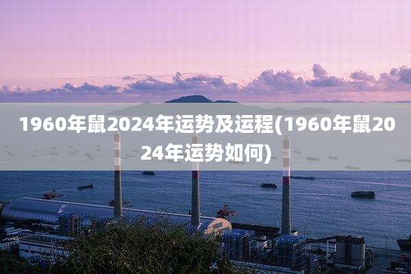 1960年鼠2024年运势及运程(1960年鼠2024年运势如何)