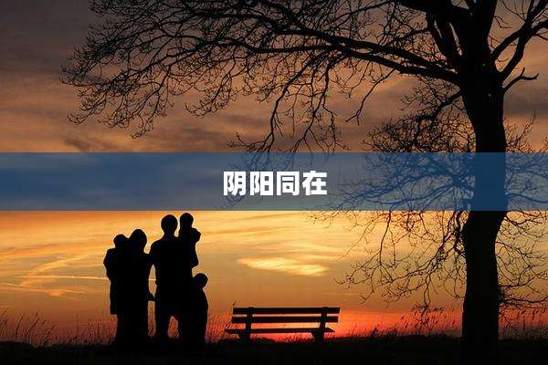 阴阳同在