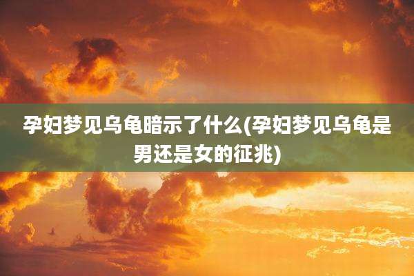 孕妇梦见乌龟暗示了什么(孕妇梦见乌龟是男还是女的征兆)