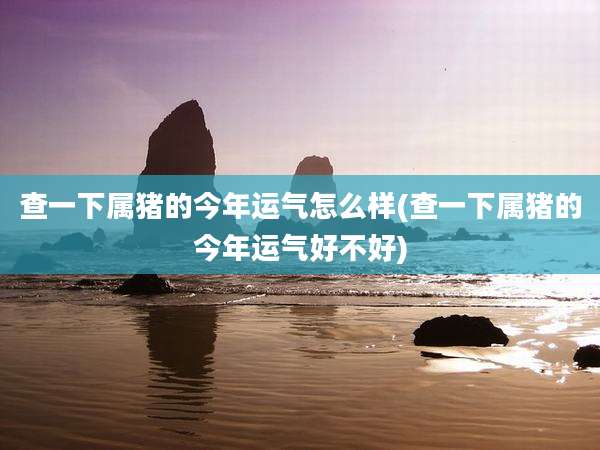 查一下属猪的今年运气怎么样(查一下属猪的今年运气好不好)