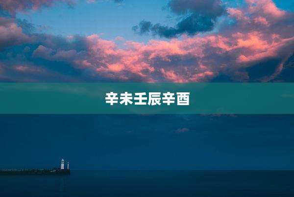 辛未壬辰辛酉
