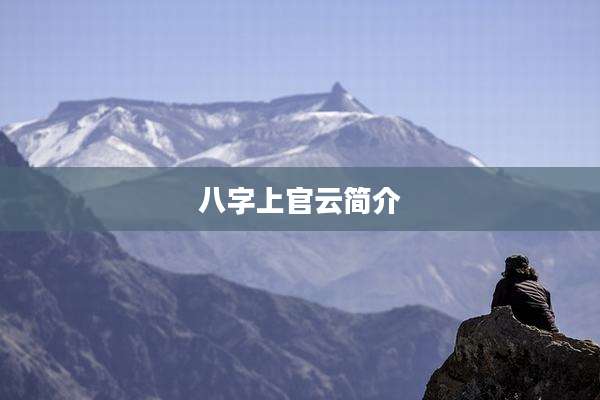 八字上官云简介