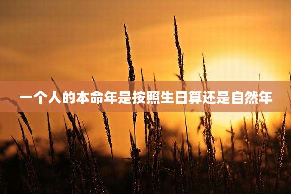 一个人的本命年是按照生日算还是自然年
