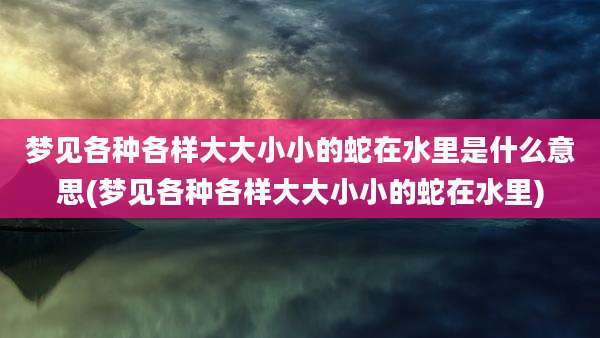 梦见各种各样大大小小的蛇在水里是什么意思(梦见各种各样大大小小的蛇在水里)