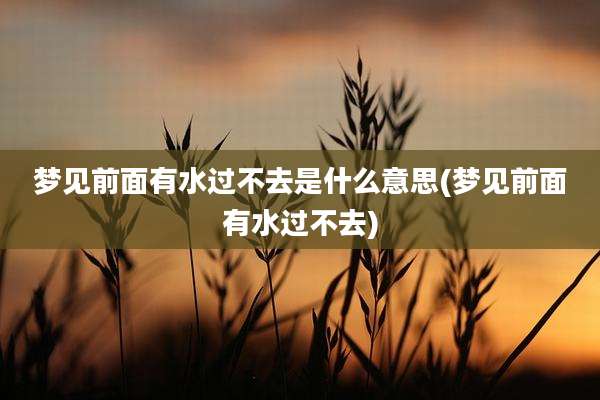 梦见前面有水过不去是什么意思(梦见前面有水过不去)