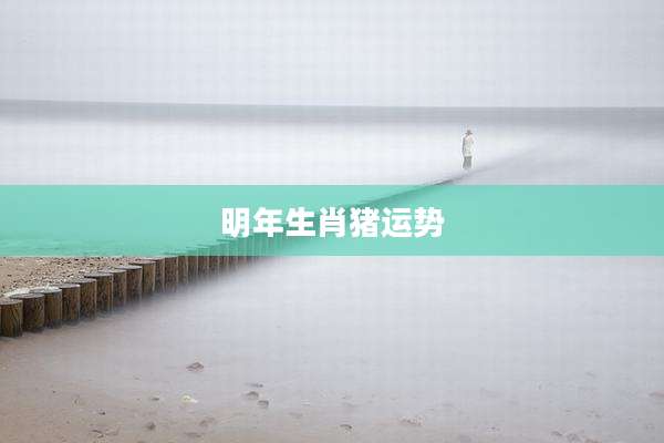 明年生肖猪运势