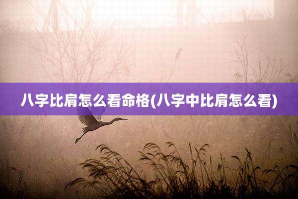 八字比肩怎么看命格(八字中比肩怎么看)