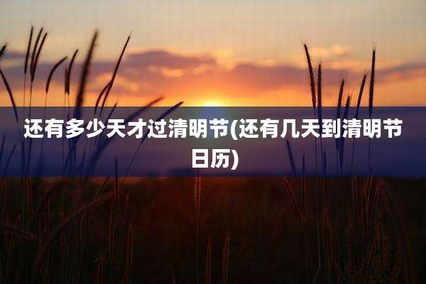 还有多少天才过清明节(还有几天到清明节日历)