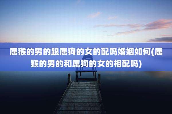 属猴的男的跟属狗的女的配吗婚姻如何(属猴的男的和属狗的女的相配吗)