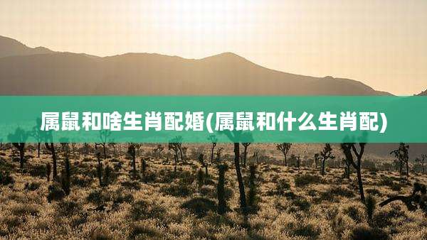 属鼠和啥生肖配婚(属鼠和什么生肖配)