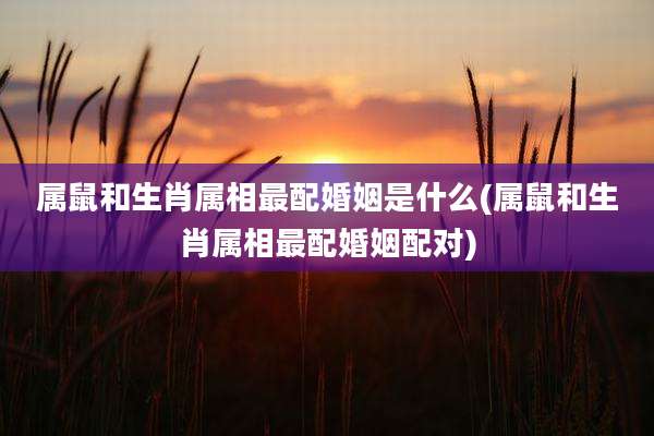 属鼠和生肖属相最配婚姻是什么(属鼠和生肖属相最配婚姻配对)