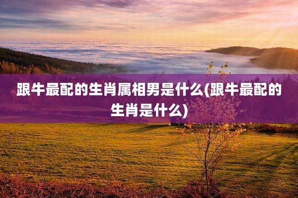 跟牛最配的生肖属相男是什么(跟牛最配的生肖是什么)
