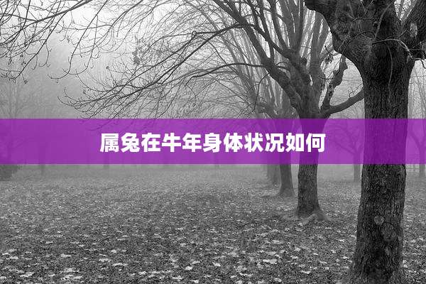属兔在牛年身体状况如何