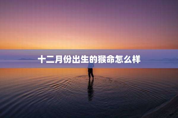 十二月份出生的猴命怎么样