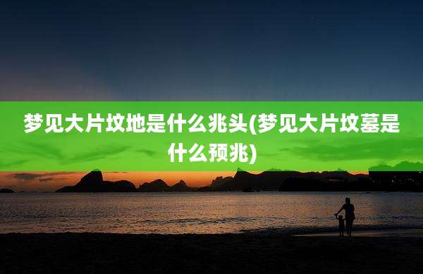 梦见大片坟地是什么兆头(梦见大片坟墓是什么预兆)
