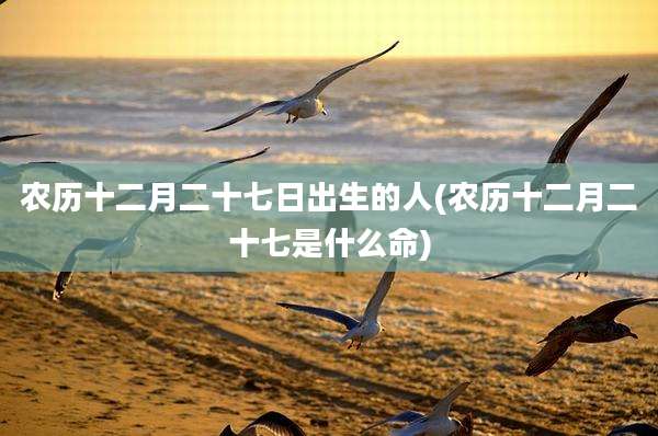 农历十二月二十七日出生的人(农历十二月二十七是什么命)