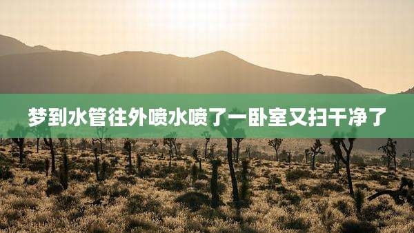 梦到水管往外喷水喷了一卧室又扫干净了