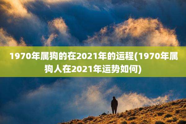 1970年属狗的在2021年的运程(1970年属狗人在2021年运势如何)