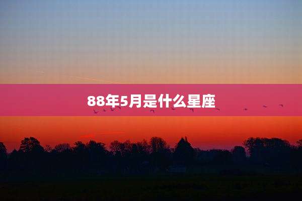 88年5月是什么星座