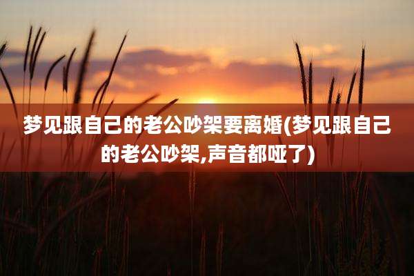 梦见跟自己的老公吵架要离婚(梦见跟自己的老公吵架,声音都哑了)