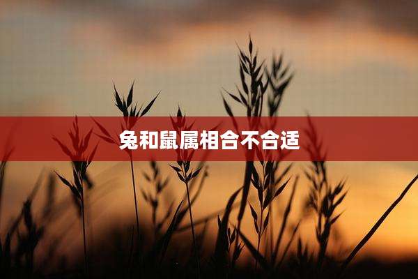 兔和鼠属相合不合适