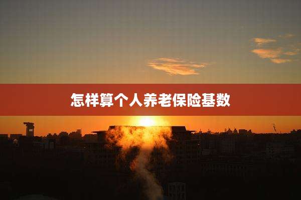 怎样算个人养老保险基数