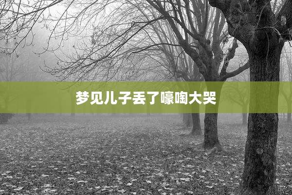 梦见儿子丢了嚎啕大哭