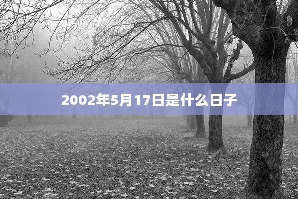 2002年5月17日是什么日子
