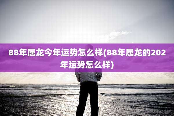 88年属龙今年运势怎么样(88年属龙的202年运势怎么样)