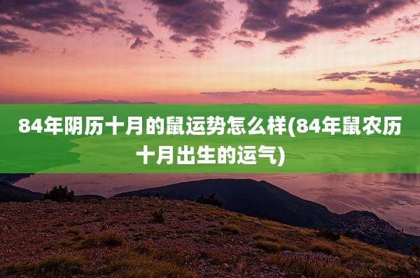 84年阴历十月的鼠运势怎么样(84年鼠农历十月出生的运气)