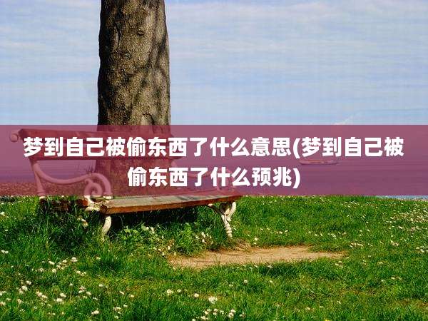 梦到自己被偷东西了什么意思(梦到自己被偷东西了什么预兆)