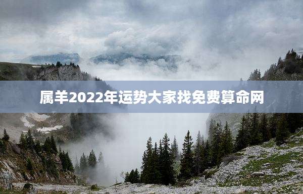 属羊2022年运势大家找免费算命网