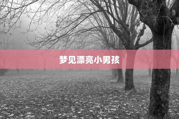 梦见漂亮小男孩