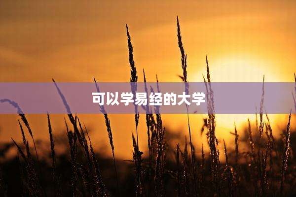 可以学易经的大学