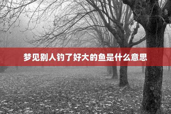 梦见别人钓了好大的鱼是什么意思