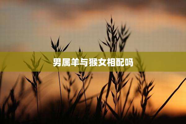男属羊与猴女相配吗