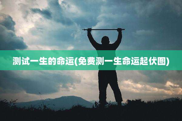 测试一生的命运(免费测一生命运起伏图)
