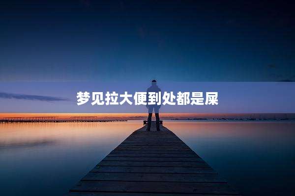 梦见拉大便到处都是屎