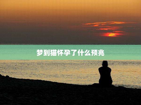 梦到猫怀孕了什么预兆