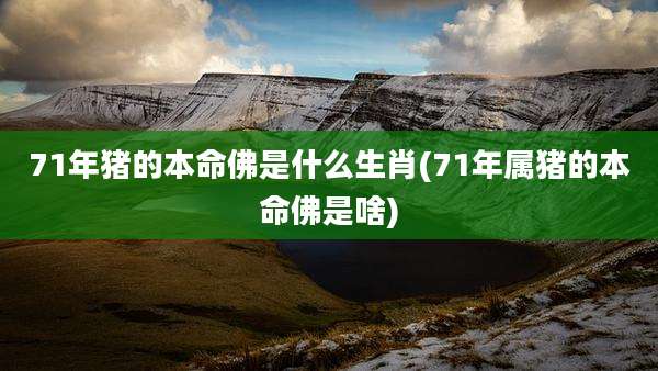 71年猪的本命佛是什么生肖(71年属猪的本命佛是啥)