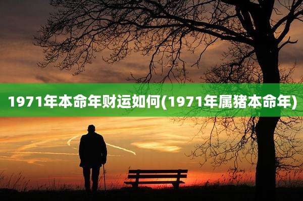 1971年本命年财运如何(1971年属猪本命年)
