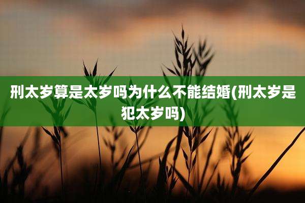 刑太岁算是太岁吗为什么不能结婚(刑太岁是犯太岁吗)