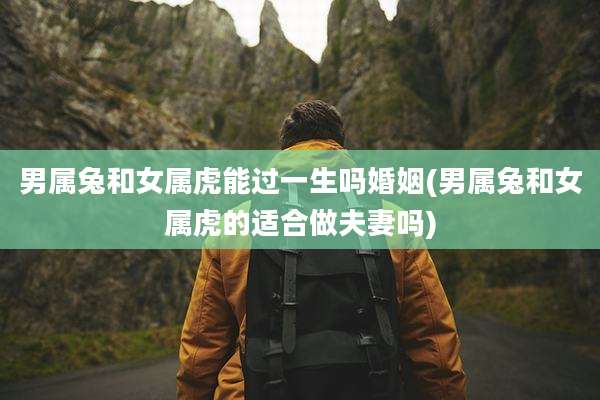 男属兔和女属虎能过一生吗婚姻(男属兔和女属虎的适合做夫妻吗)